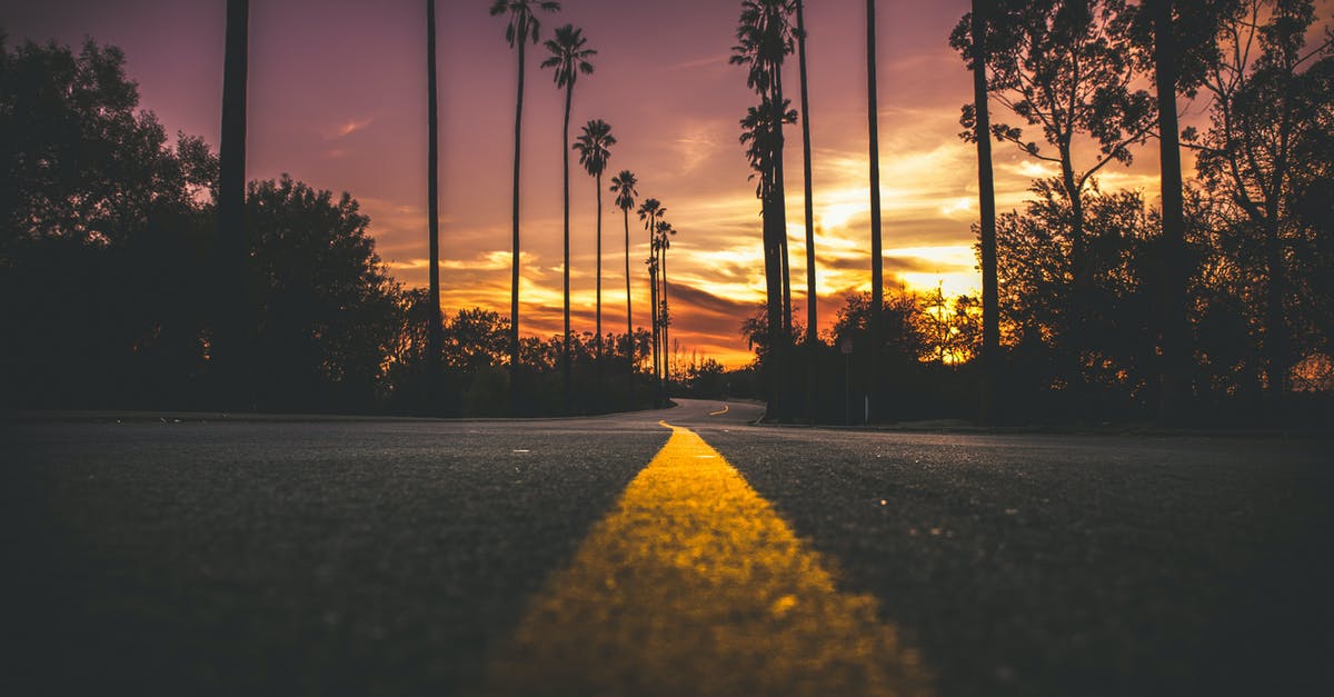 How far did Forrest Gump run? - Road in City during Sunset