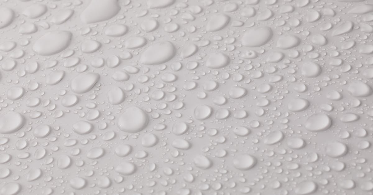 How is Bucky even alive? - Closeup top view of plain wet abstract surface with small dripped water drops of different shapes placed on white background