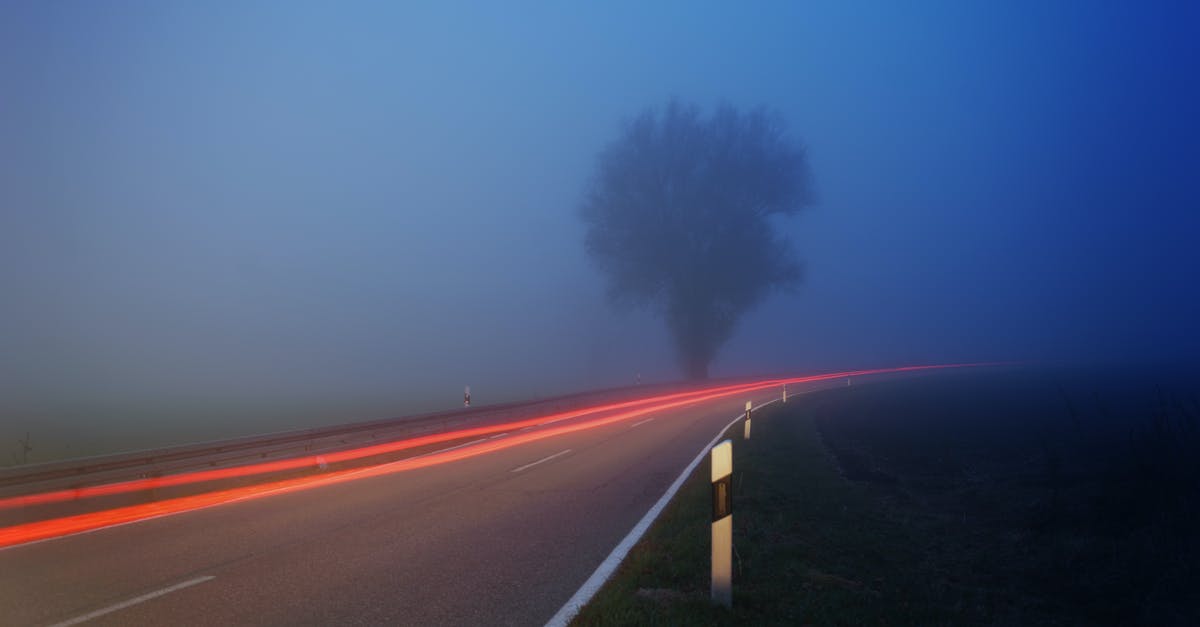 How long after Luc Besson's "discovery" of Natalya Rudakova did the filming of Transporter 3 begin? Just a few "hours" or "lessons" later? - Time-lapse Photography of Fog Filled Road Near Tree