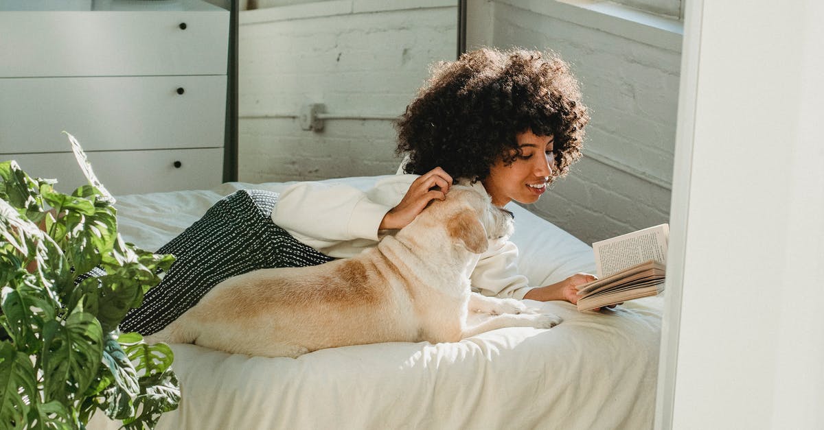 How loyal has Cronenberg been to the William S. Burroughs book Naked Lunch? - Side view of cheerful black female owner reading book while stroking Labrador Retriever dog lying on soft bed