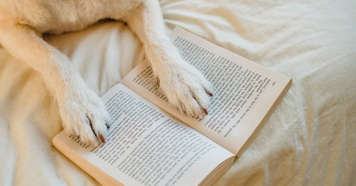 How loyal has Cronenberg been to the William S. Burroughs book Naked Lunch? - From above cute dog with white fur resting on comfy bed with paws on opened book in light bedroom