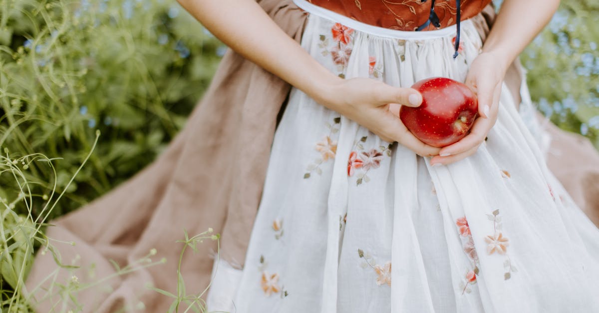 How many Disney princesses end up with older men? - Woman in White and Red Floral Dress Holding Red Apple Fruit