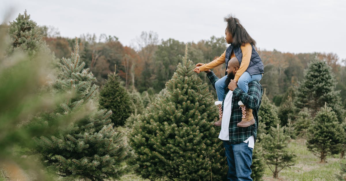 How many times did Satoru relive his childhood in Erased? - Side view of African American dad carrying girl on shoulders while touching fir tree branches cultivating for Christmas