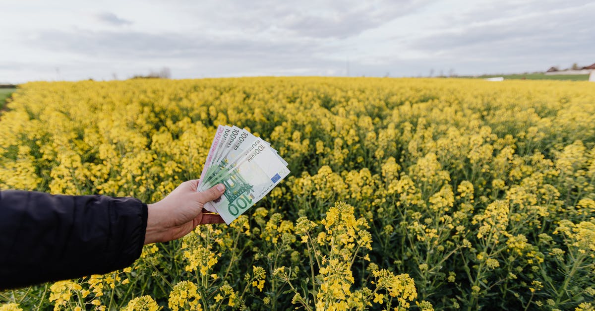 How much would a third season of SGU cost to produce? - Crop man with paper banknotes on blooming meadow