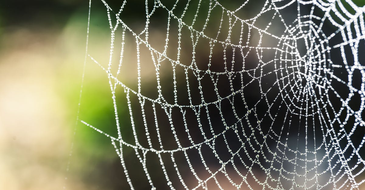 How was Dutch’s final booby trap intended to function? - Spider Web Selective Focus Photography