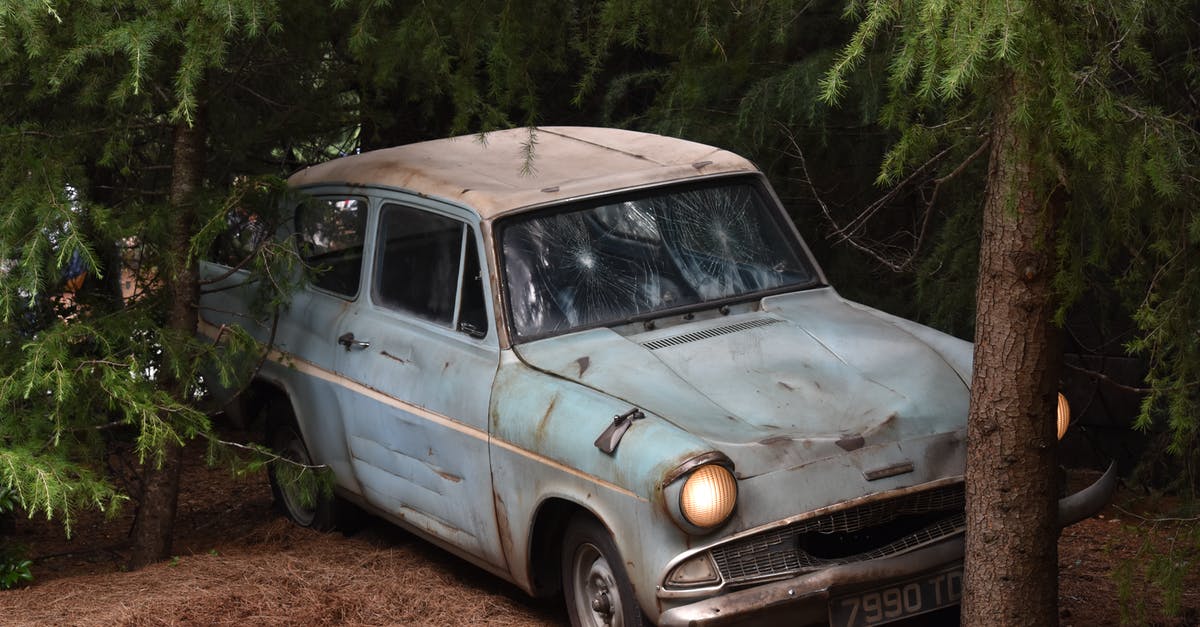 How was Harry not identified as a result of being with Ron and Hermione? - Old Car Parked Near Tree