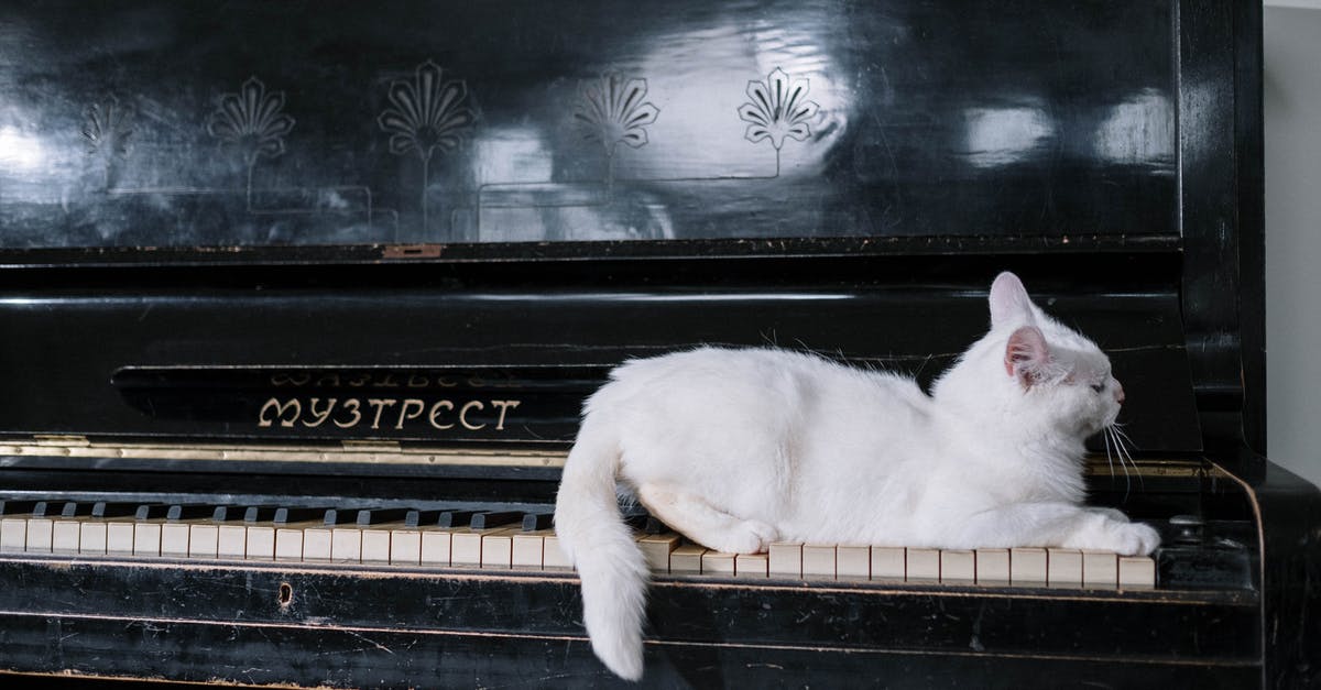 How was it possible to use the theme music of Mission Impossible in Ace Ventura Pet Detective? - Cat on Black Piano