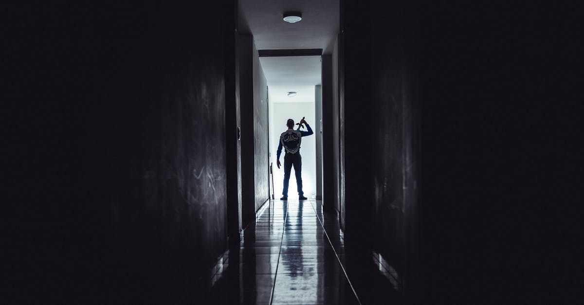 How was S.H.I.E.L.D. funded in the dark days? - Silhouette of Person with Sword and Shield Walking on Hallway