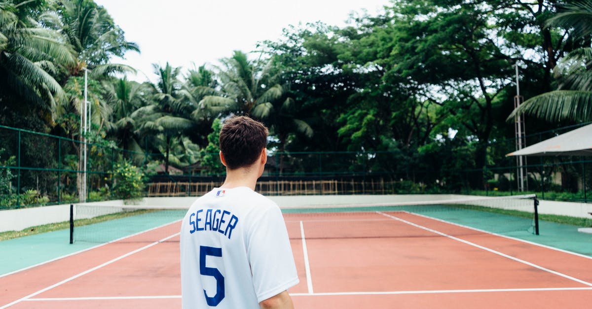 How were some gods brought back to life? - Man in White and Blue Jersey Shirt Standing on Tennis Court