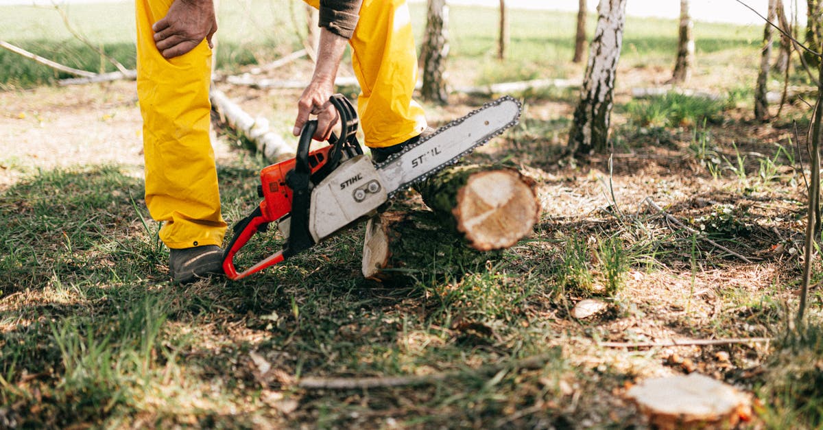 How were the others able to handle the power of the stone? - Crop lumberman sawing log with electric power saw