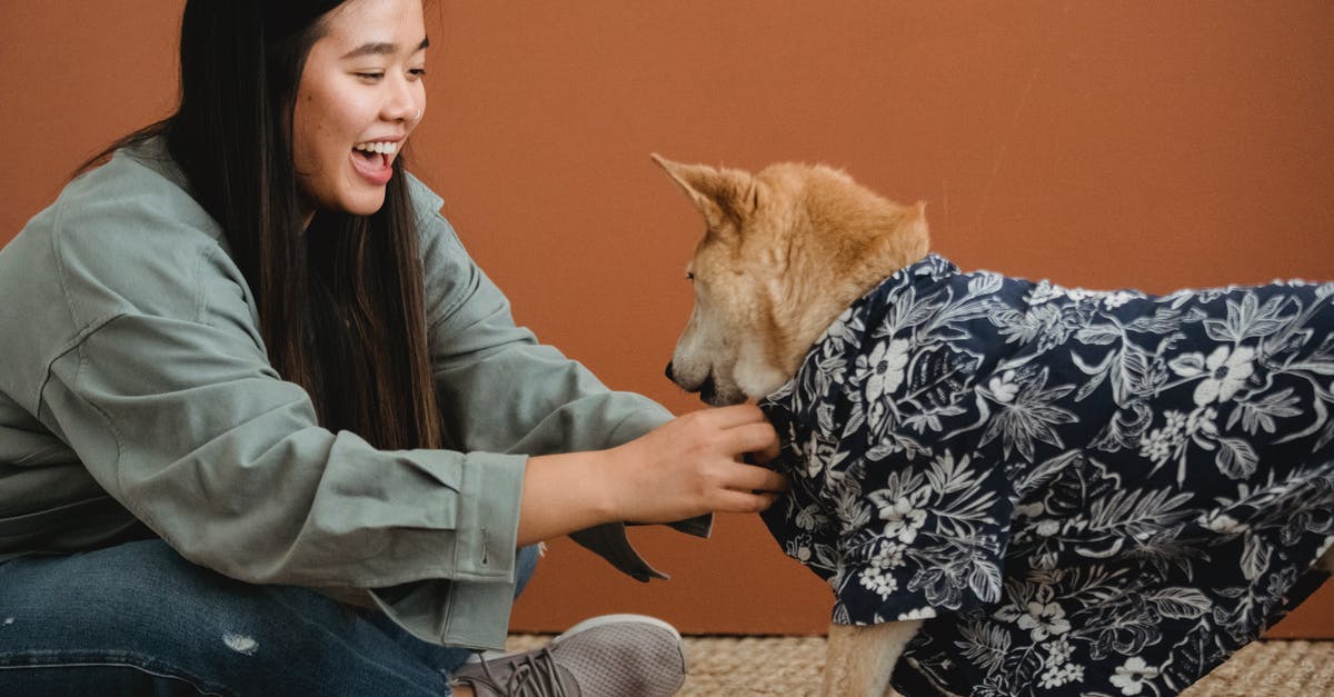 How would Hugh have known "the rules" of the creature in It Follows? - Side view of expressive Asian female owner dressing dog while sitting with crossed legs on floor