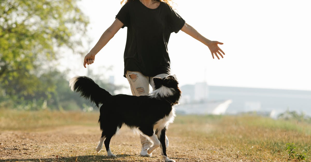 How would Hugh have known "the rules" of the creature in It Follows? - Happy woman running with Border Collie on rural road
