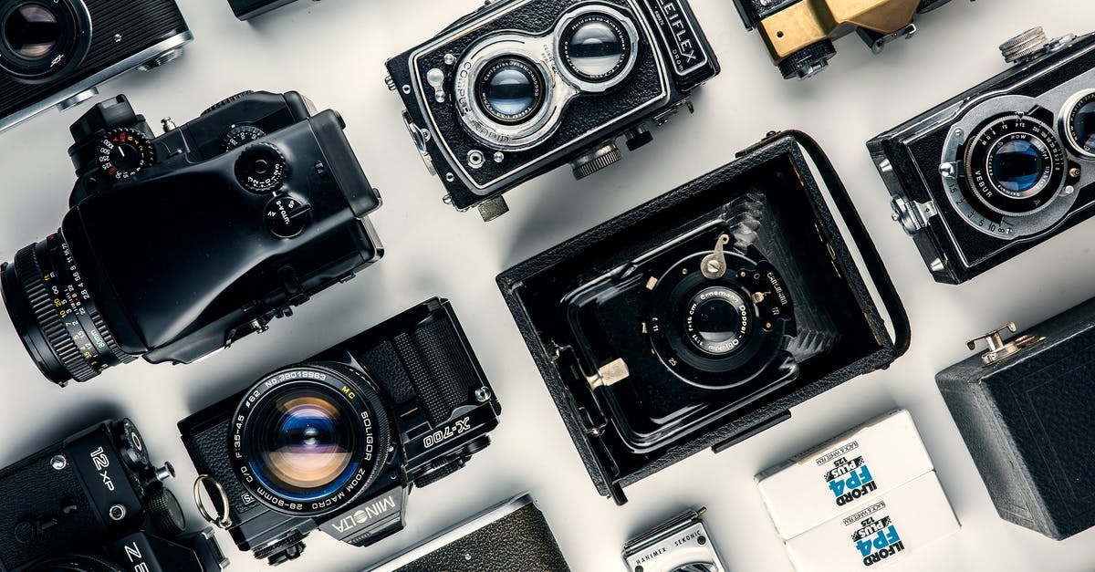 How would you categorise Shutter Island? - Assorted Black and Gray Cameras