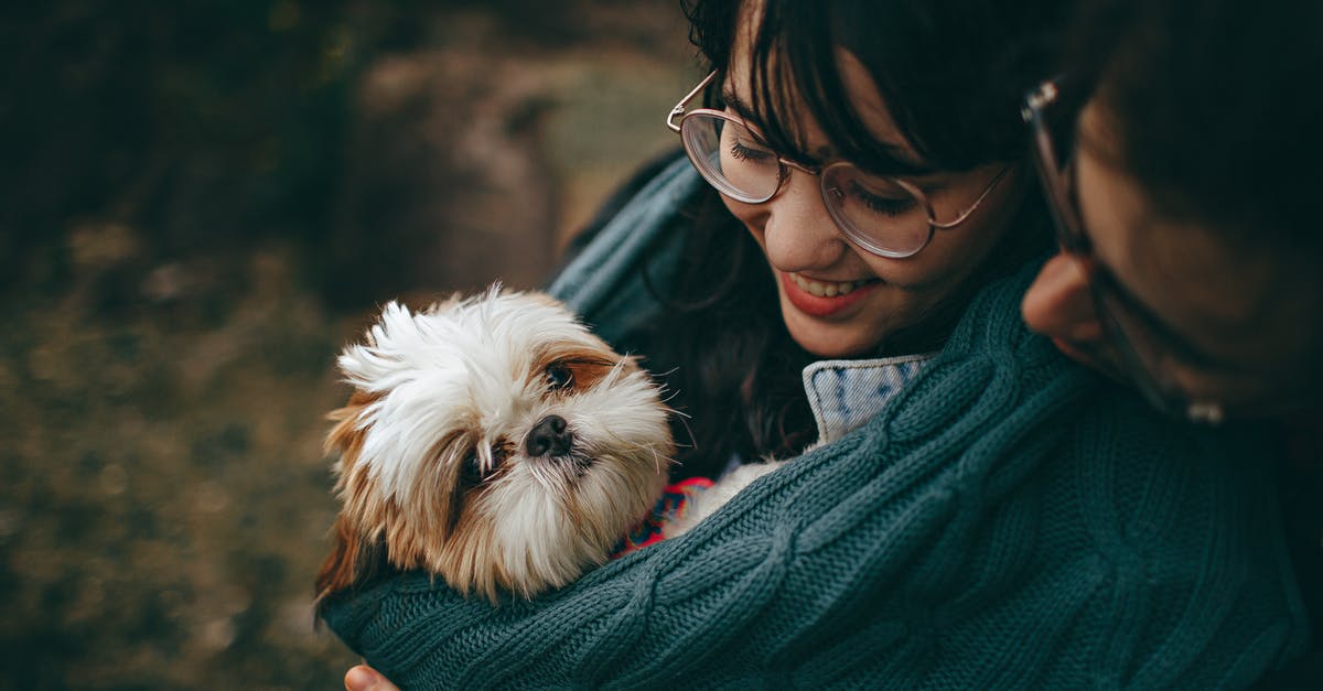 Identify this film about a Boy, girl and Girl's Dog [closed] - Selective Focus Photography of White and Tan Shih Tzu Puppy Carrying by Smiling Woman