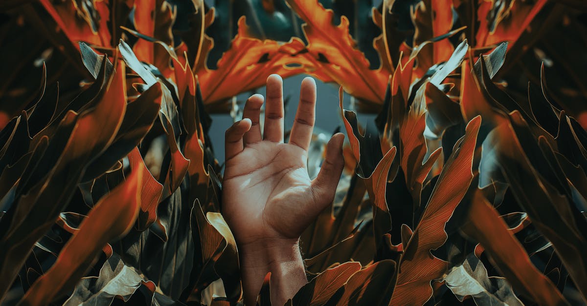 Identify this movie: the protagonists are searching for what is beyond by reaching clinical death and coming back [closed] - Hand Among Orange Leaves