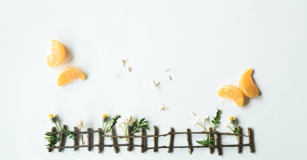 Identifying the professor by tiny piece of burned photo - Top view of creative composition made of dried tiny flowers and sticks with ripe tangerine slices arranged on white surface