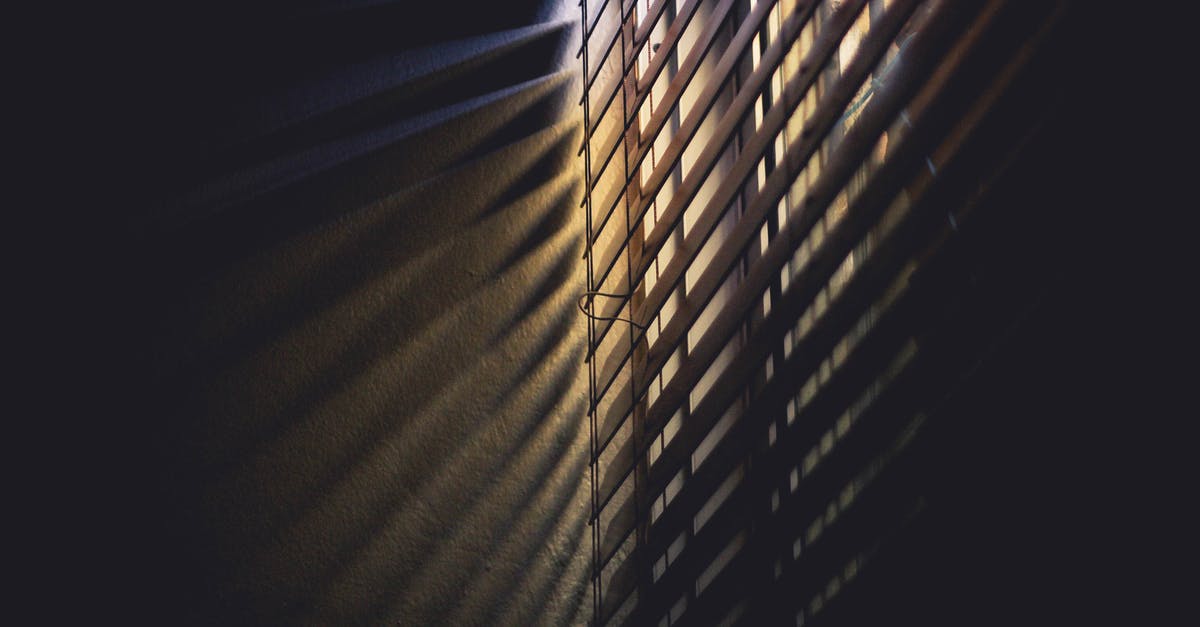 In Darkness, is Sophia really blind? - Low Light Photography of Brown Window Blinds