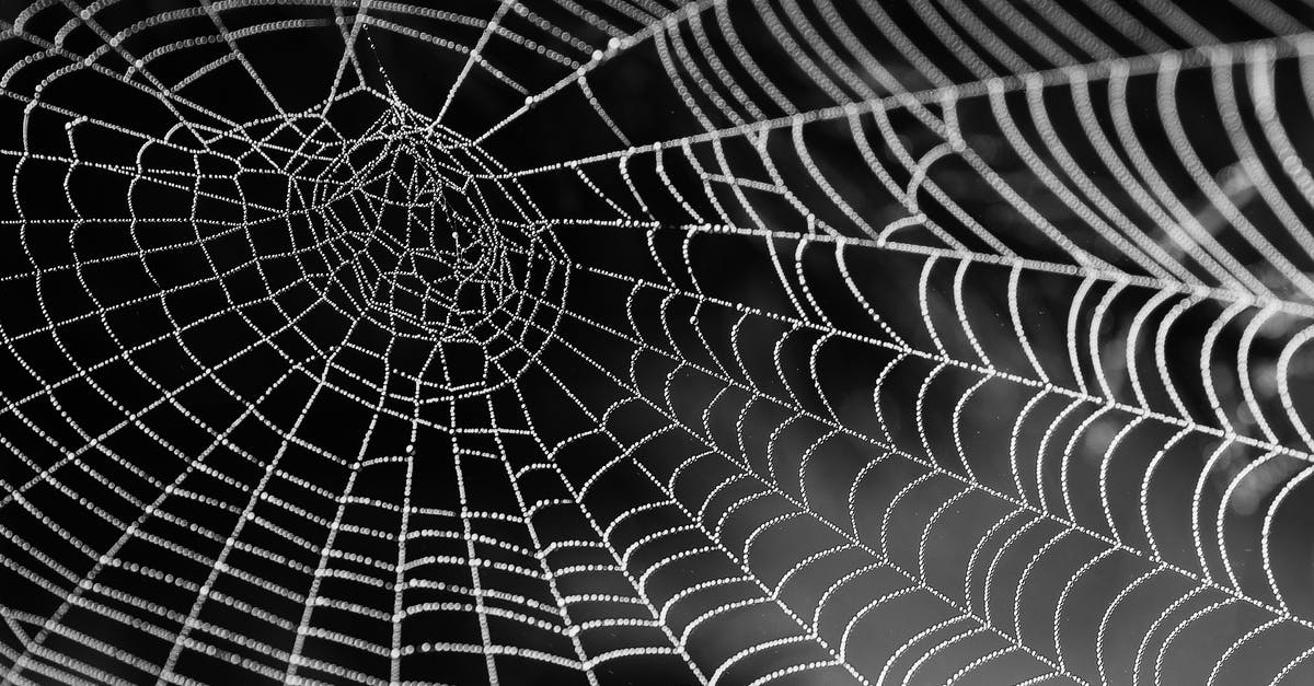 In films how do they make spider web? - Spider Web