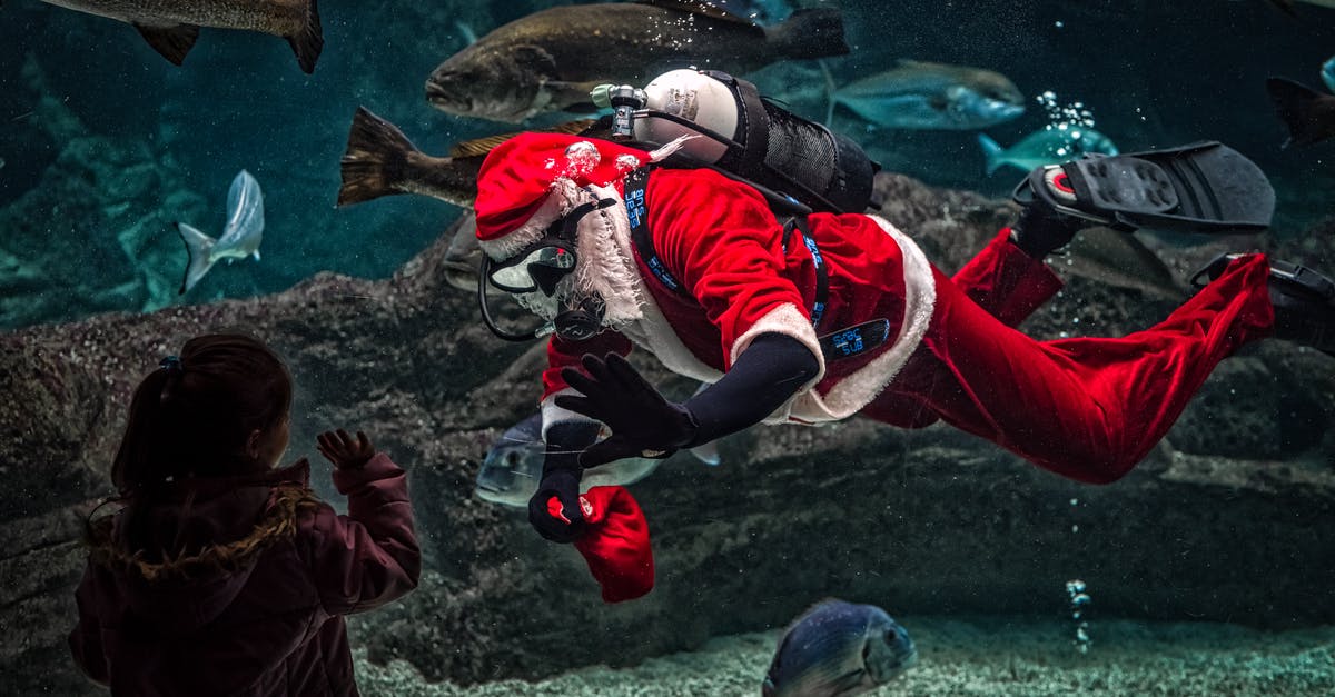 In "Mr. Turner", who is the man in the red robe? [closed] - Man in Santa Claus Costume With Diving Gear Inside Aquarium