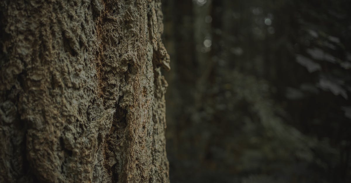 In "Stranger things" S01, How was wormhole in the base of a tree in the woods created? - Water Droplets on Brown Tree Trunk