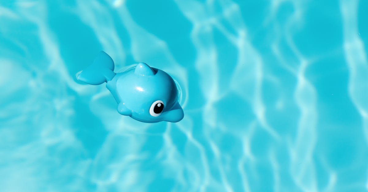 In the movie Little Fish are there any moments like these? - Blue and White Toy Dolphin Floating on Water