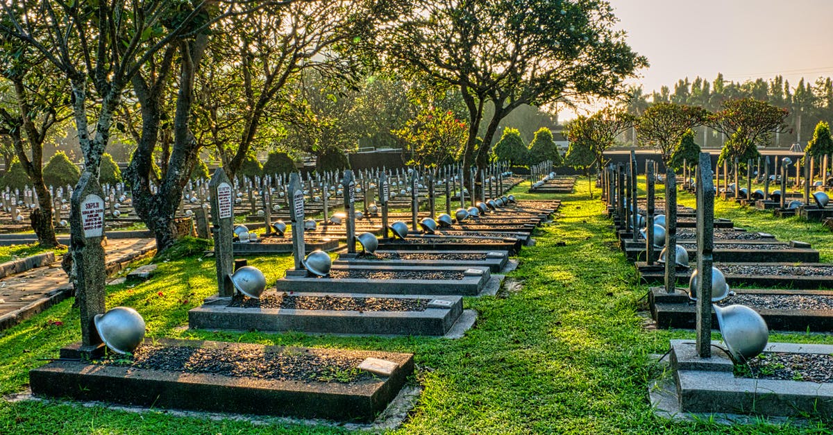 In which military branch did Ted Striker serve? - Rows of gravestones with military hardhats located on green tall trees with lush foliage in main heroes cemetery in Indonesia