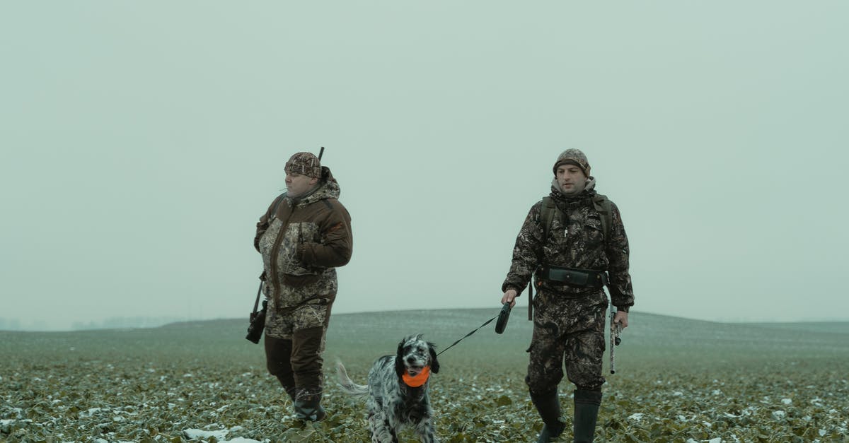 Infinite ammo in "The Walking Dead" - Two Men Walking in a Field with a Dog