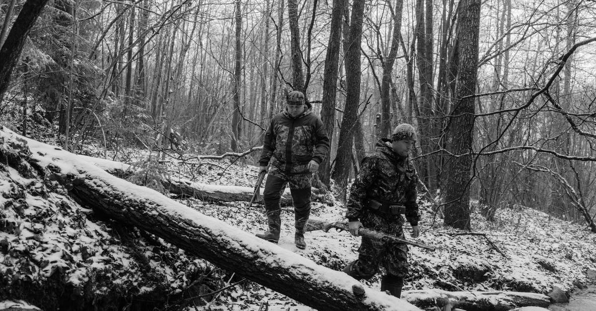 Infinite ammo in "The Walking Dead" - Two Men Walking in the Woods Holding Rifles
