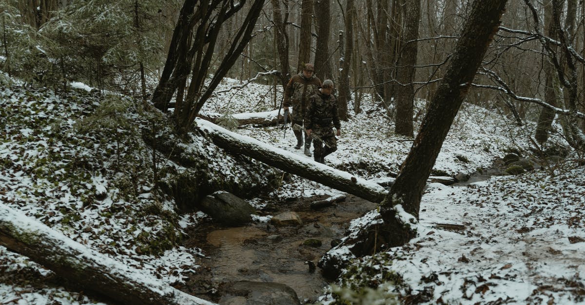 Infinite ammo in "The Walking Dead" - Two Men Walking in the Woods Holding Rifles