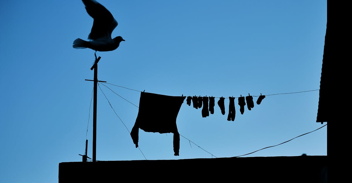 Interpretation of the ending of World on a Wire (Welt am Draht) - White Bird on Electric Wire