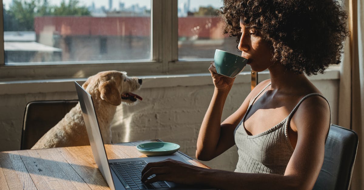 Into what type of animal did David transform the woman? - Side view of concentrated young African American lady sitting at table in home while working remotely on computer and drinking coffee near big dog