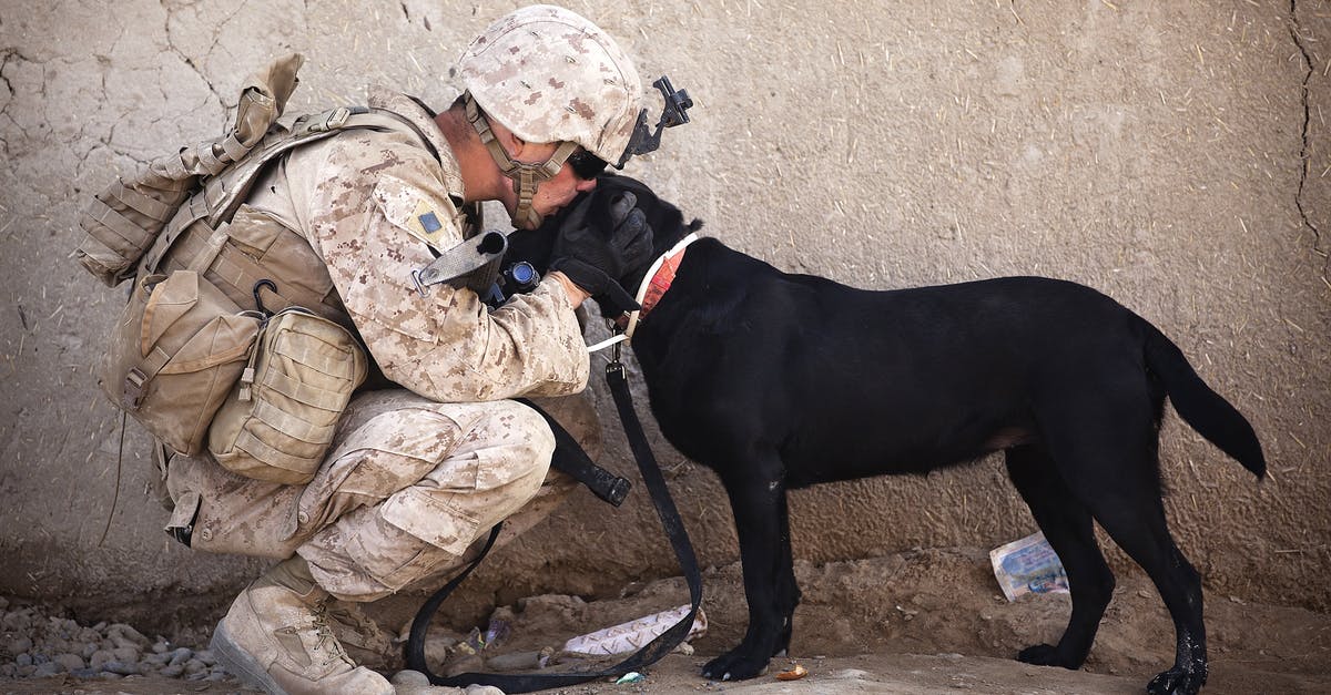 Is it real that USA military find specialists to help in specific disaster situations? - Soldier and Black Dog Cuddling