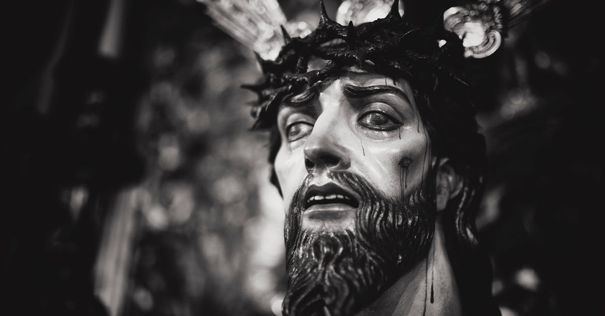 Is it true that Jodorowsky killed all the lambs himself for the crucifixion procession in The Holy Mountain? - Gray Scale Photography of Jesus Christ Head