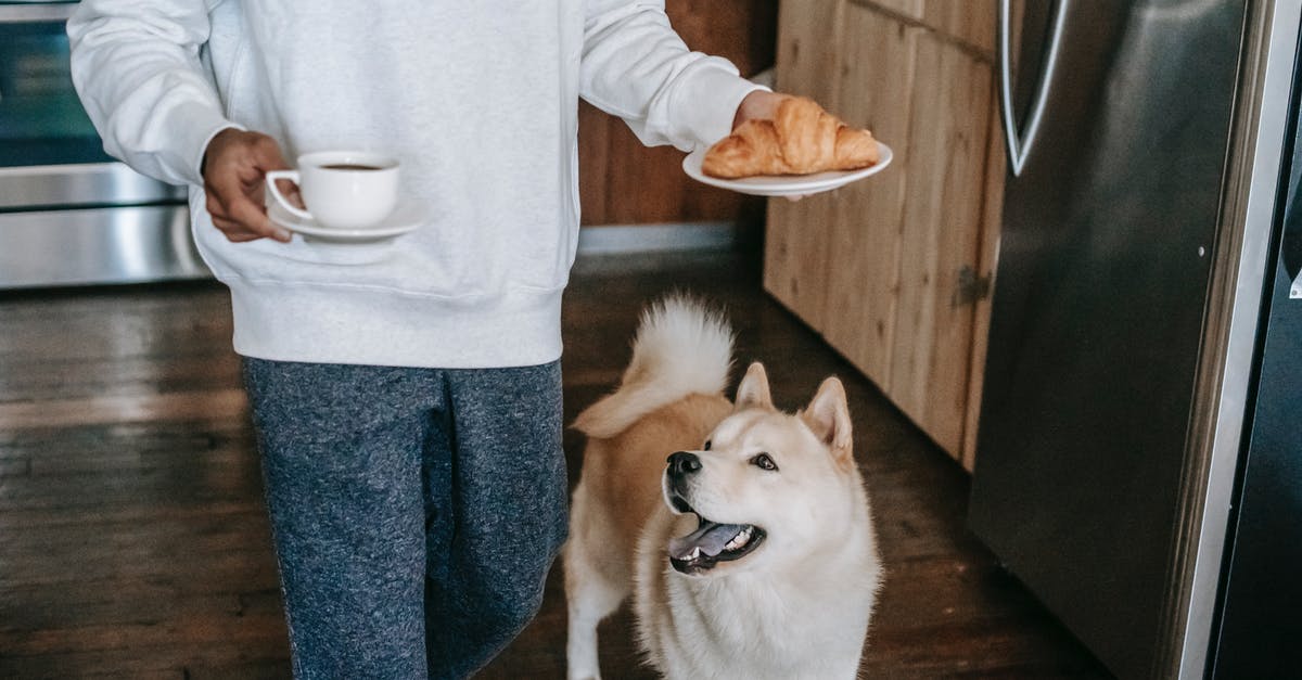 Is K unfaithful too his youth love / love interest from MiB in MiB 3? - Crop faceless young male owner in casual clothes walking in kitchen near curious Akita Inu dog with coffee cup and plate with croissant in hands