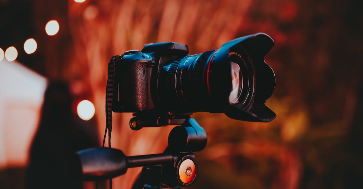 Is Netflix Considered a Movie Studio or a Movie Distributor? - Focus Photography of Dslr Camera