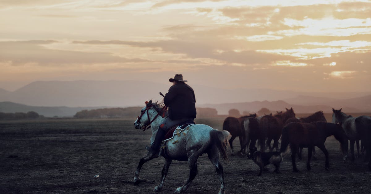 Is Prairie an unreliable narrator? - Cowboy in hat riding horse while grazing herd of equines in vast valley under cloudy sunset sky in countryside