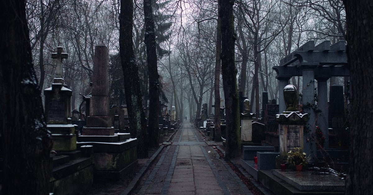 Is Ra's Al Ghul alive or dead? - A Walkway Inside the Cemetery