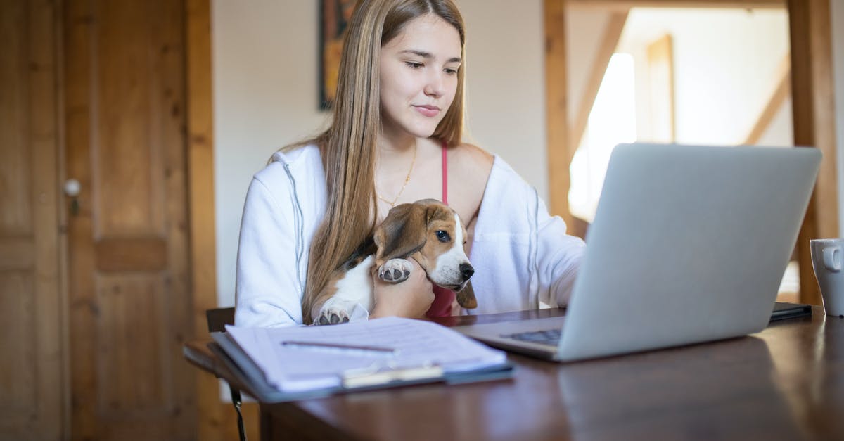 Is Rex real K9 working dog? - A Woman Using a Laptop with a Dog on Her Lap