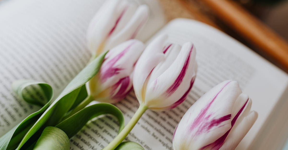 Is Season 2 of The Sinner also based on a novel? - From above spring tulips arranged together on open book with blurred text in floral shop
