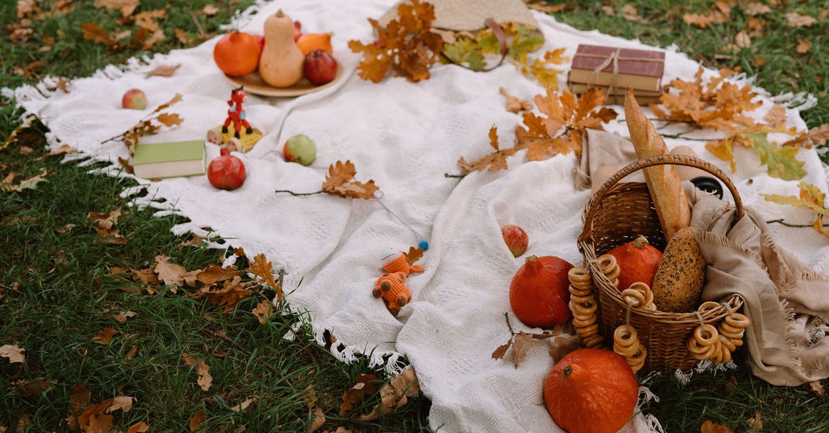 Is Season 2 of The Sinner also based on a novel? - From above of ripe exotic red kuri squashes with pumpkins and wicker basket with fresh bread arranged on blanket with books and scattered dry leaves in autumn park