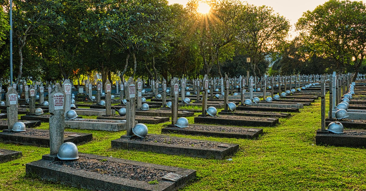 Is Sunshine dead? - Rows of tombstones with military helmets located on grassy ground near tall lush green trees in heroes cemetery in Kalibata