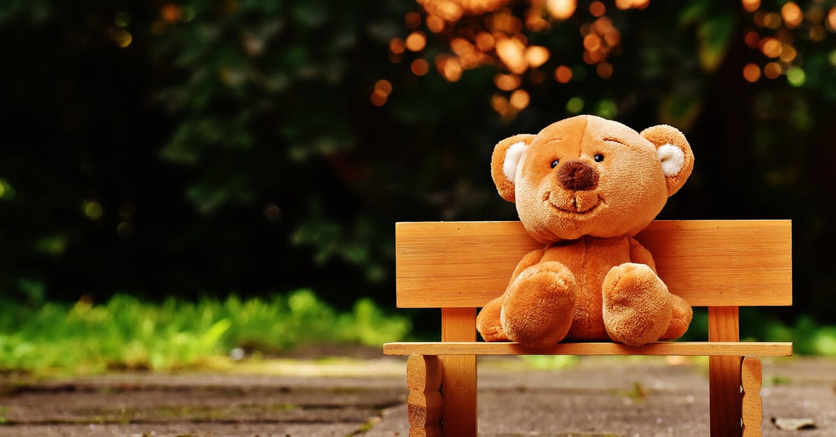 Is Teddy aware that he's crazy? - Brown Teddy Bear on Brown Wooden Bench Outside