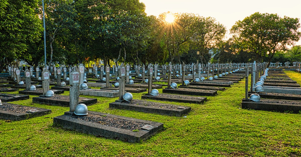 Is the Babadook symbolic of the dead father? - Gravestones on heroes cemetery in Kalibata