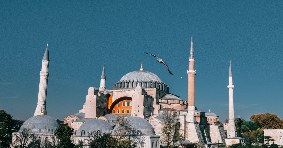 Is the bird killing in The Prestige based on historical reality? - Wonderful Hagia Sophia grand mosque with tall minarets and dome located in Istanbul in Turkey against blue sky in city