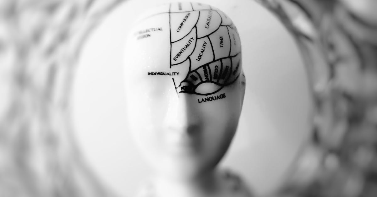 Is the brain sequence similar to reality or not? - Photo of Head Bust Print Artwork