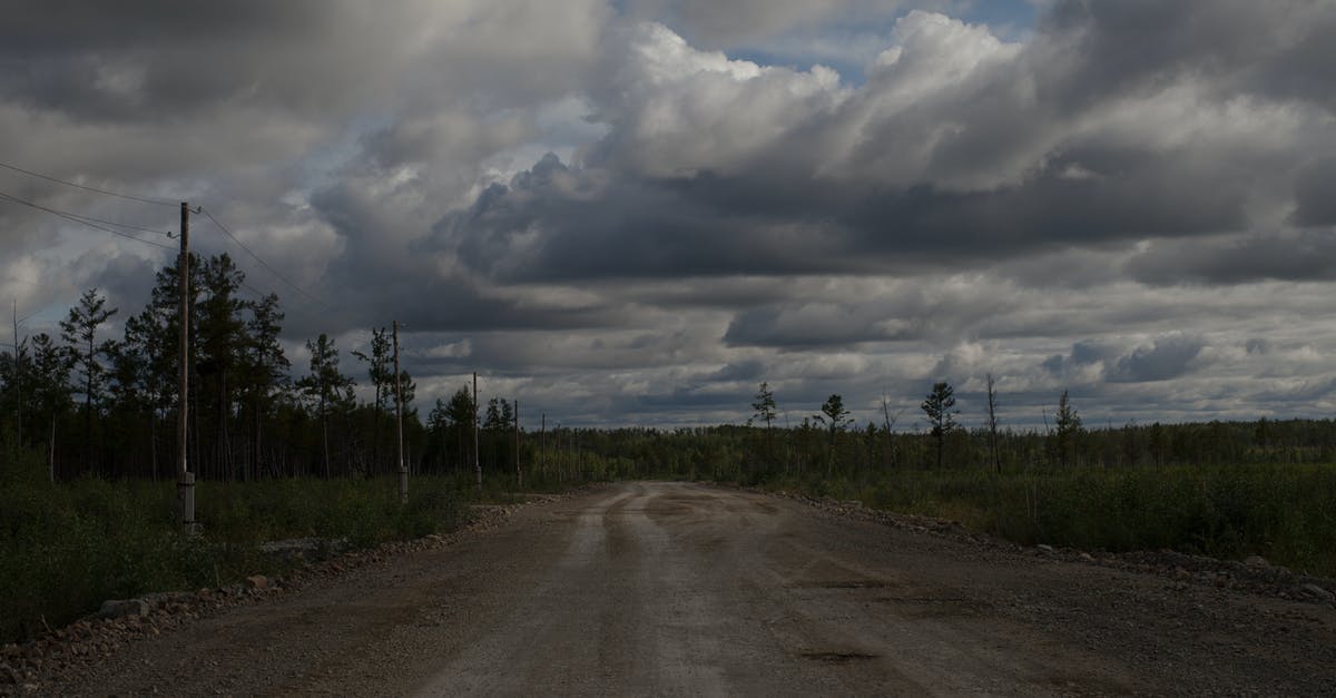 Is the Land of Ooo really a post apocalyptic Earth? - Scenic view of straight empty roadway with traces between trees under cloudy sky in twilight