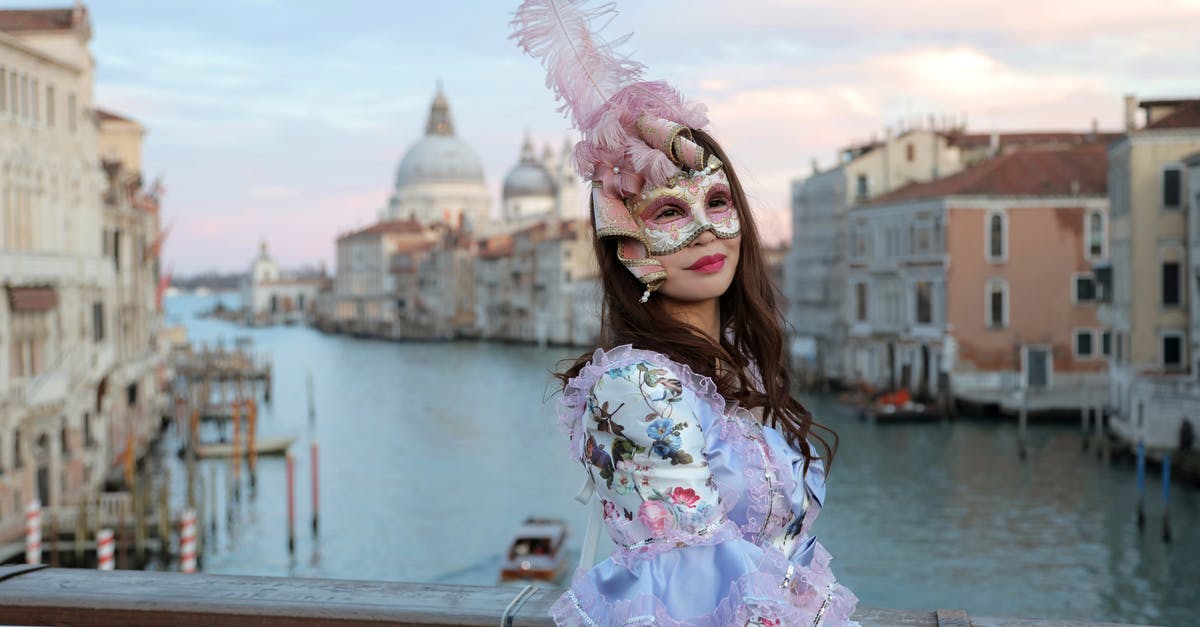 Is the movie Bridge of Spies really based on real event? - Side view of unrecognizable woman in magnificent costume and gorgeous Venetian mask with feathers standing on bridge in middle of Grand canal against background of cathedral of Santa Maria della Salute in Venice in Italy and looking at camera
