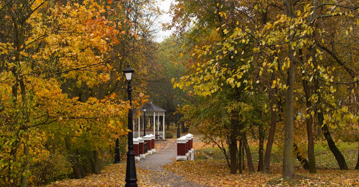 Is there a common outdoor cinema event/phenomena referenced in John Wick 2 and Jessica Jones season? - Pathway in autumn park leading to public gazebo