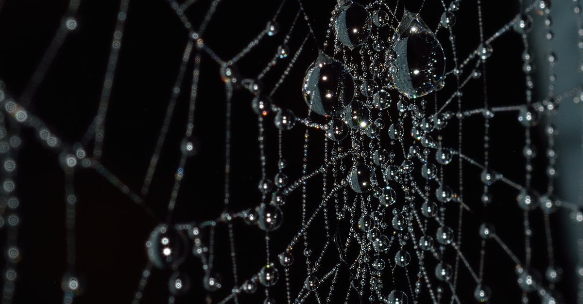 Is there any connection between Indiana Jones's whip and his fear of snakes? - Water Droplets on Spider Web