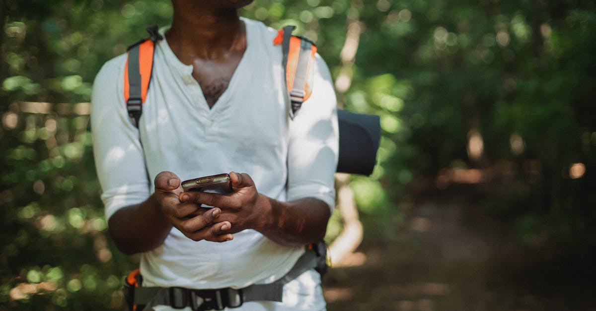 Is there any connection between Indiana Jones's whip and his fear of snakes? - Crop unrecognizable African American man with backpack and smartphone searching route while going astray in green forest